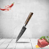 Laser Pattern Knife Fruit Knife Chef Knife Slicing Knife