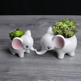 Elephant ceramic flowerpot