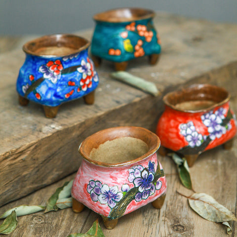 Hand-painted succulent ceramic pots