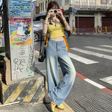 Tencel Thin Loose Straight High Waist Wide Leg Pants