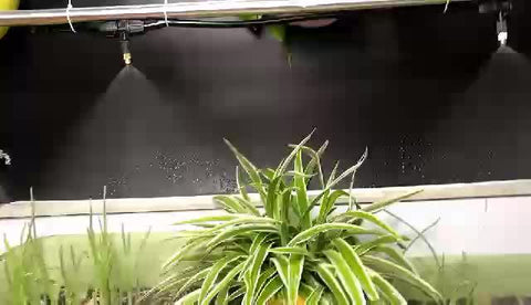 Outdoor Misting System