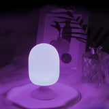 Colorful Dimming Voice Control Intelligent Lamp